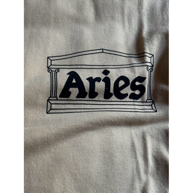 ARIES ARISE TEMPLE TSHIRT BROWN