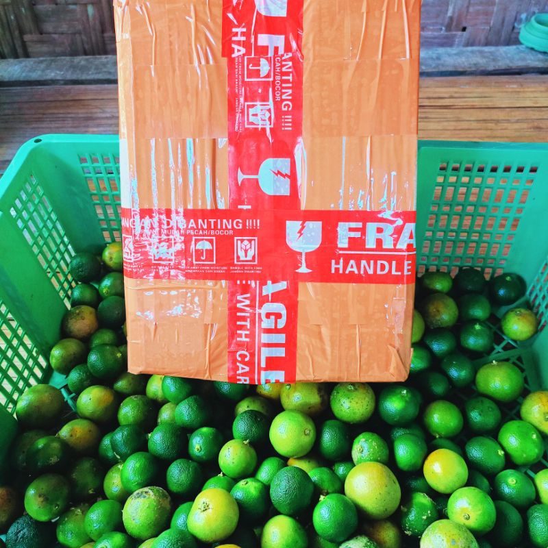 1kg jeruk sonkit jeruk peras jeruk lemncui jerukkalamanis jeruk peras jeruk peras siam