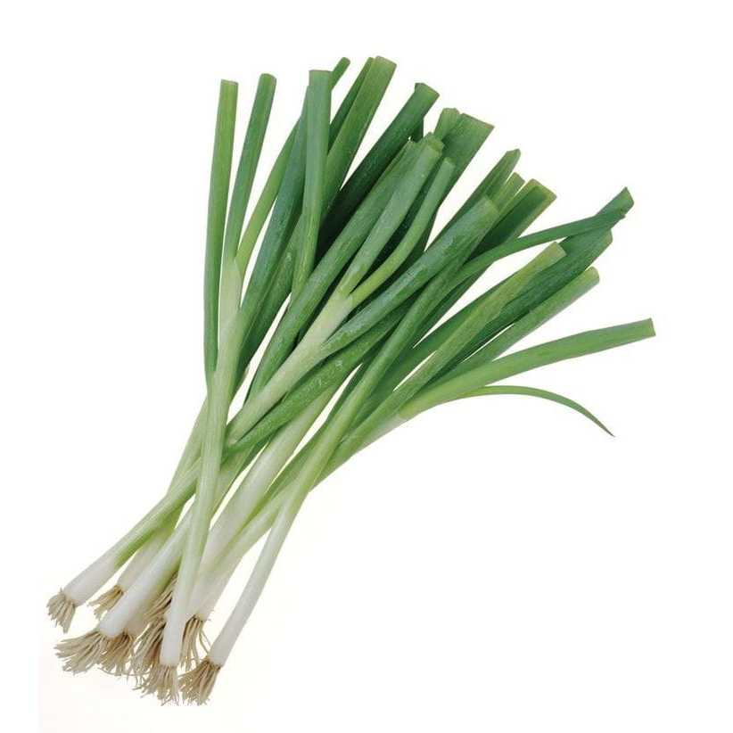 

Daun Bawang Loncang Ammaryllis Sayur Segar