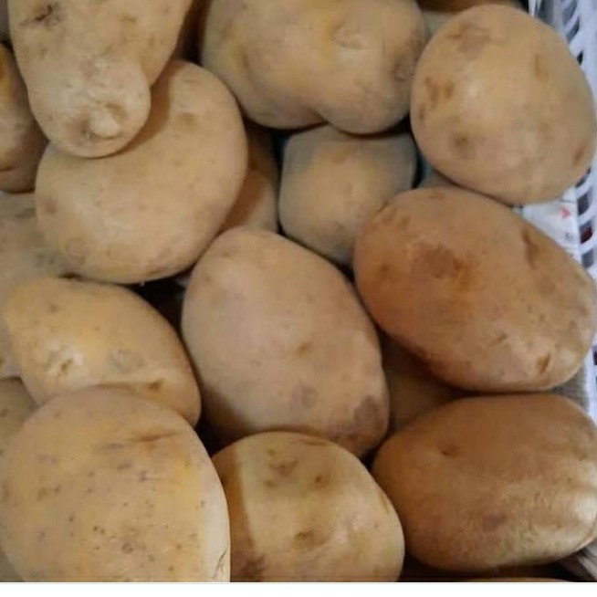 

Kentang besar Grade A asli dari petani dieng kirim instant 250gr