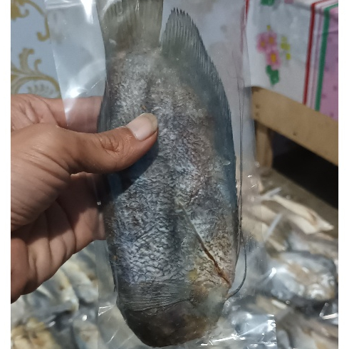 

10 kg Ikan asin cumi/sepat besar/ bolocot/peda merah/ayu/selar/rebon/tongkol rebus keret/peda putik