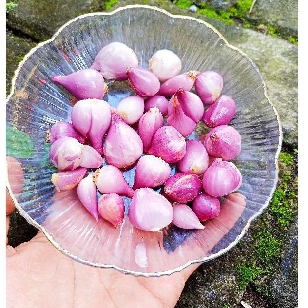 

Bawang merah probolinggo kupas 500 gram/kupasan bawang