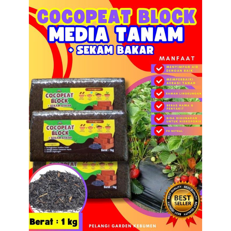 DIJAMIN ASLI  Cocopeat Alas Hamster, Cocopeat Block