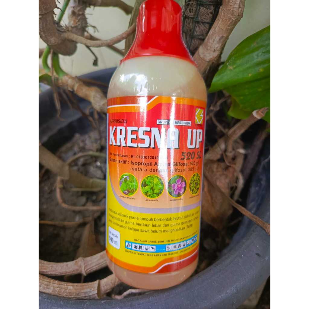 HERBISIDA KRESNA UP 520 SL 500 ML (Basmi Rumput dengan Mudah, tuntas hingga akar)