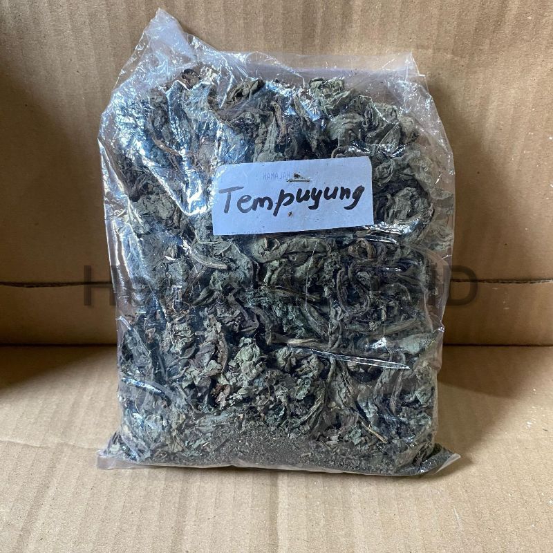 

Tempuyung/ Tempuhiyung kering Kemasan 100gram kualitas super premium 100% alami