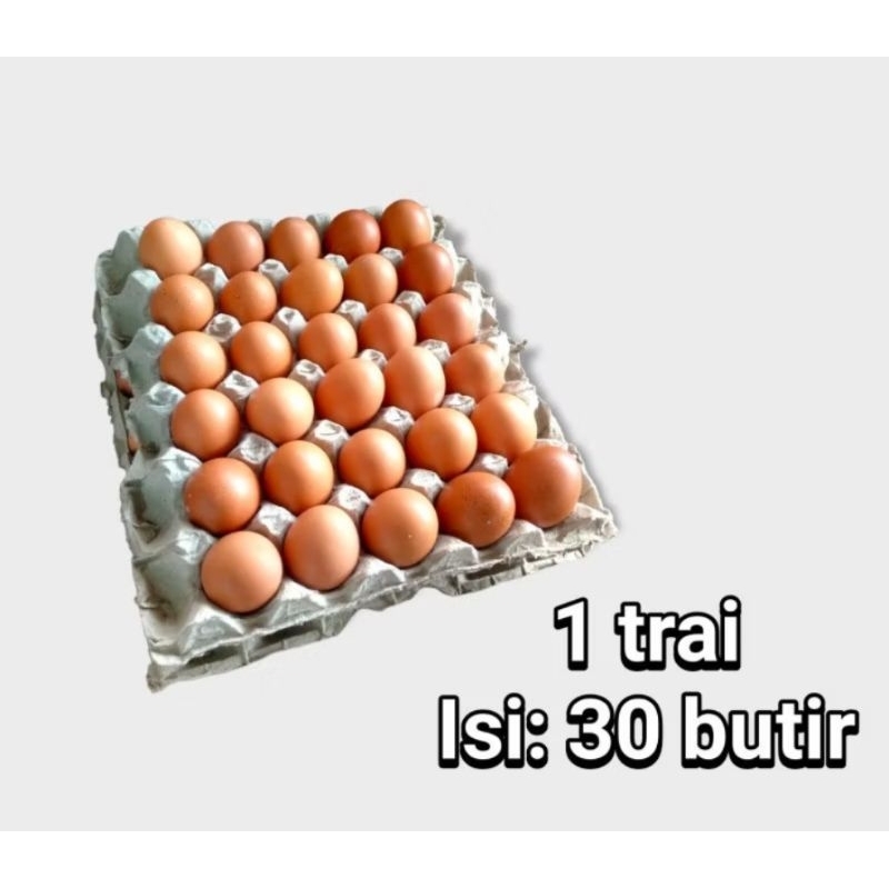 

Telur Ayam Negeri Premium Isi 30 Butir