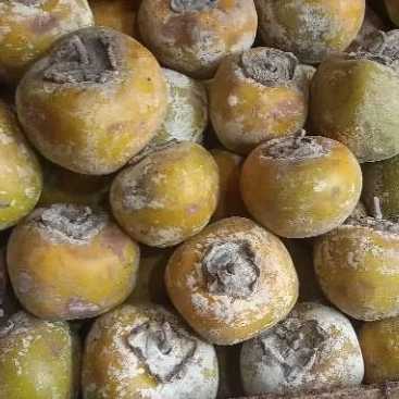 

KESEMEK LOKAL /BUAH LANGKA/Buah Genit