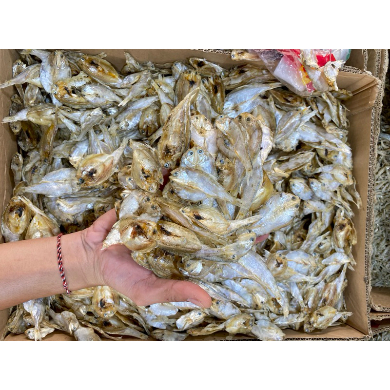 

Ikan Asin Kerupuk Bilis