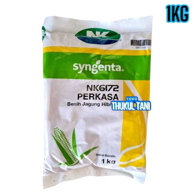 Bibit Jagung NK 6172 Perkasa 1KG Benih Jagung Hibrida F1 NK6172 Syngenta Kemasan 1 Kilo Tahan Bulai