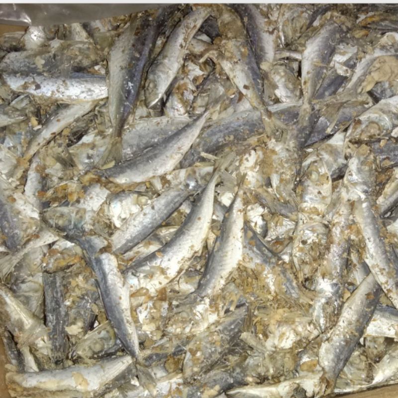

Ikan Asin Layang & Tongkol Rebus 500 Gram Campur | Hasil Lampung