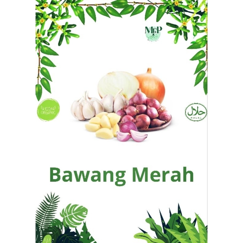 

Bawang Merah