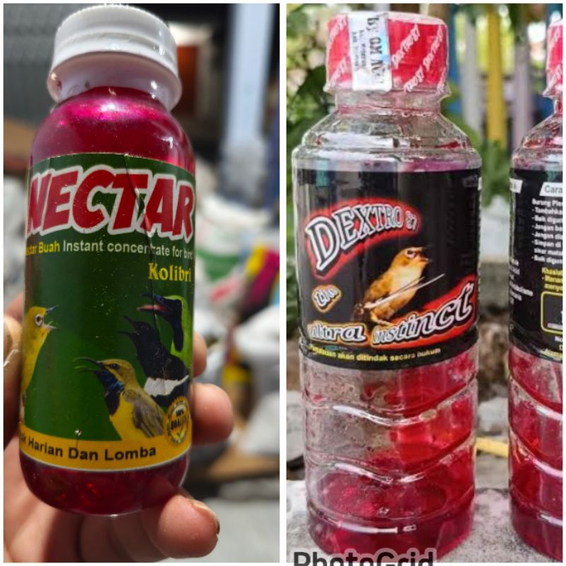 TOP VIT NECTAR NEKTAR DAN DEXTRO 76 PAKAN BURUNG KONIN SOGON KOLIBRI