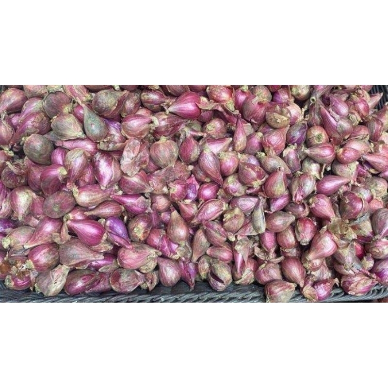 

Bawang Merah Organik || 250gram || Shallots Organic Sayuran