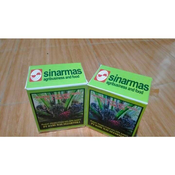 DXP PPKS 239 UNGGUL BIBIT SAWIT KUALITAS UNGGULAN TERBAIK MOMOR SATU