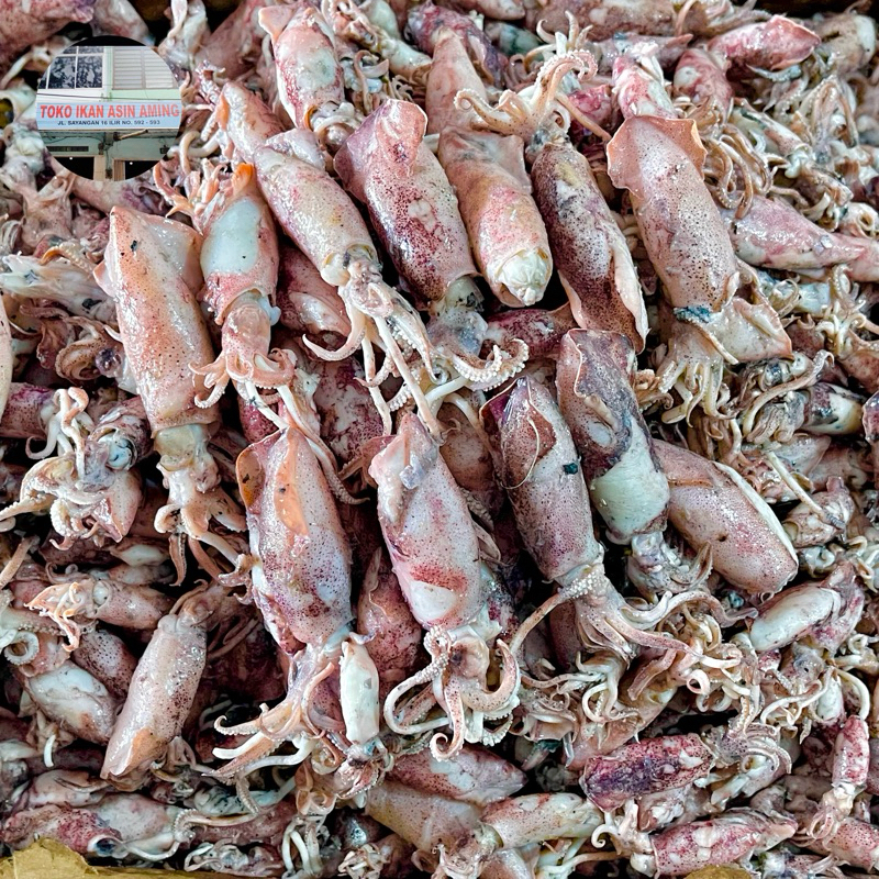 

Cumi Asin Basah Kualitas Super