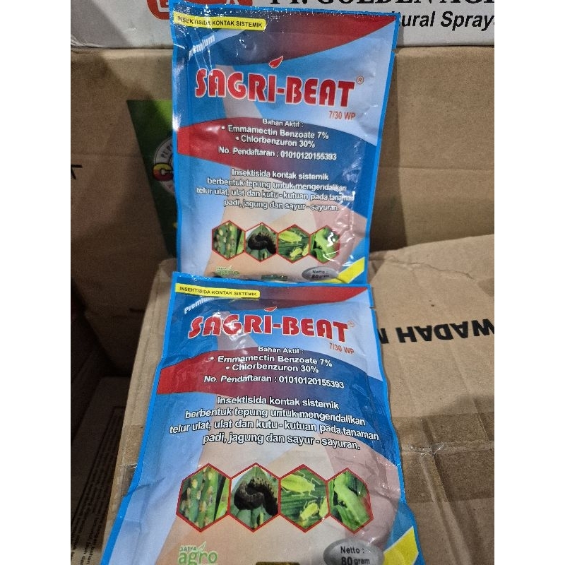 SAGRI BEAT RACUN ULAT  (80GRM)