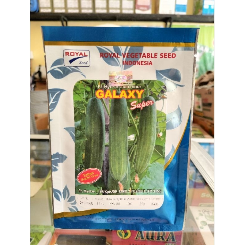 benih timun GALAXY ROYAL SEED
