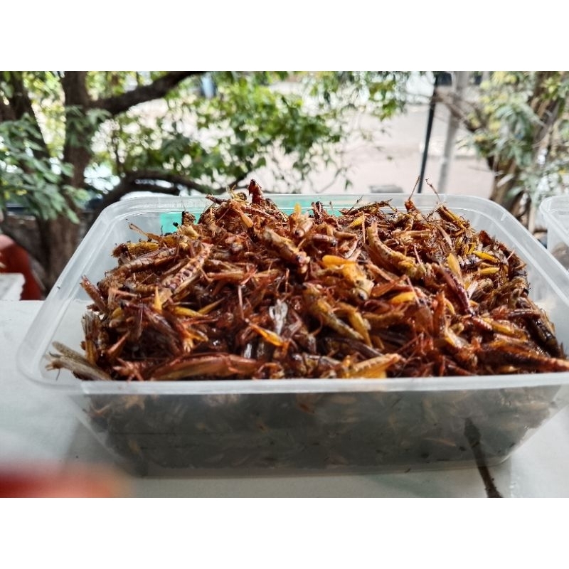 

Belalang goreng pedas gurih kemasan 750ml