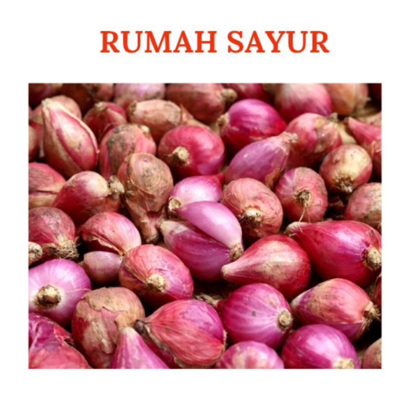 (1 ons) Bawang Merah dan Bawang Putih