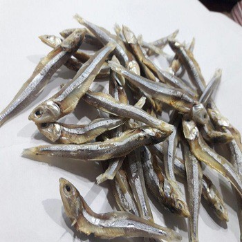 

Ikan Teri Besar Asin Gurih – Siap Masak, Kualitas Pilihan, Bersih & Renyah – 50gr