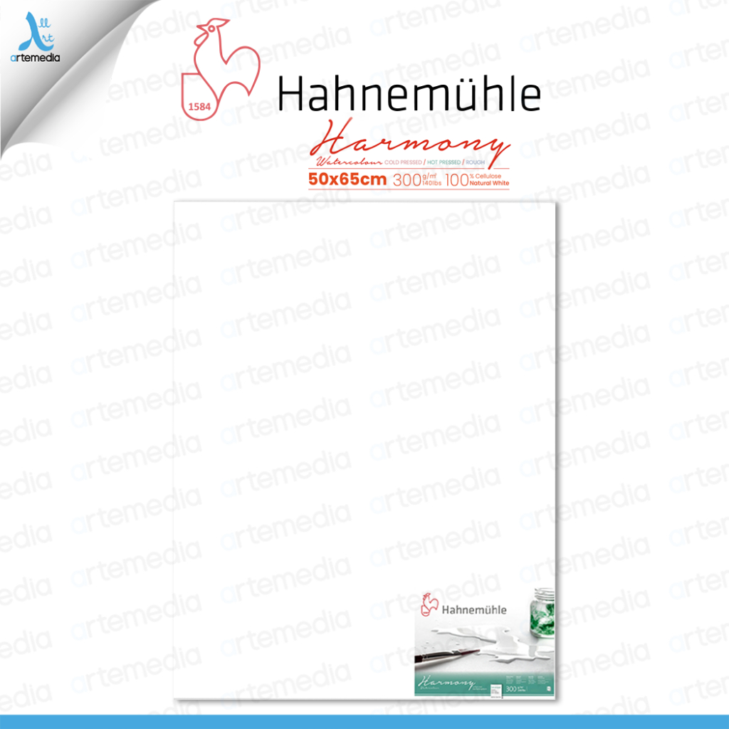 

Hahnemuhle Harmony Watercolor 50x65cm Paper Sheet