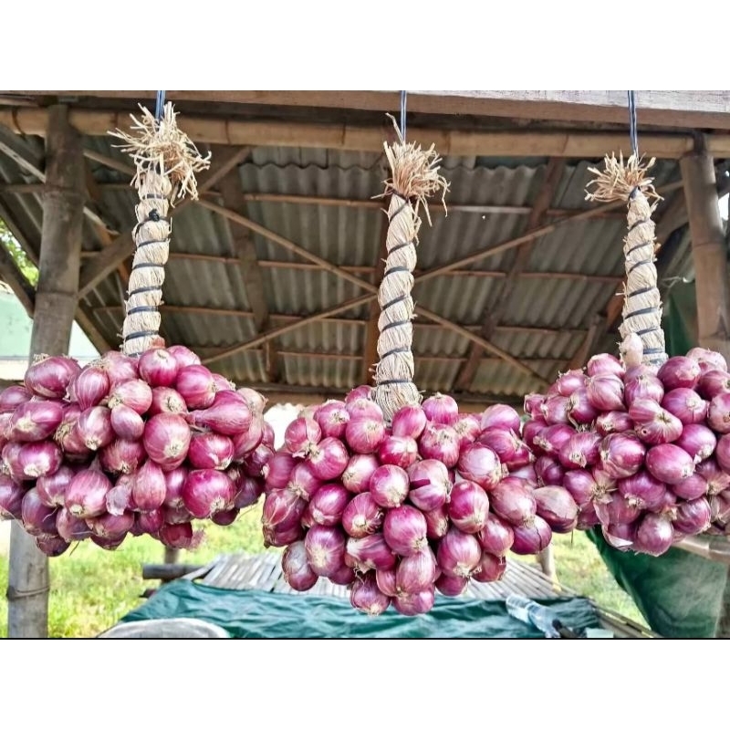 

Bawang Merah Probolinggo ikat 1 kg