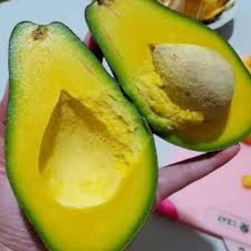 

alpukat mentega segar