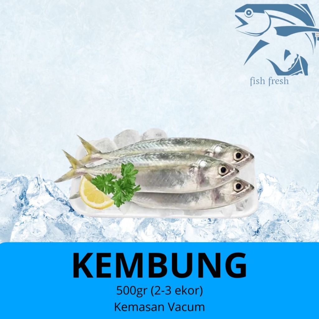 

IKAN KEMBUNG SEGAR 500 GR / INDIAN MAKCEREL