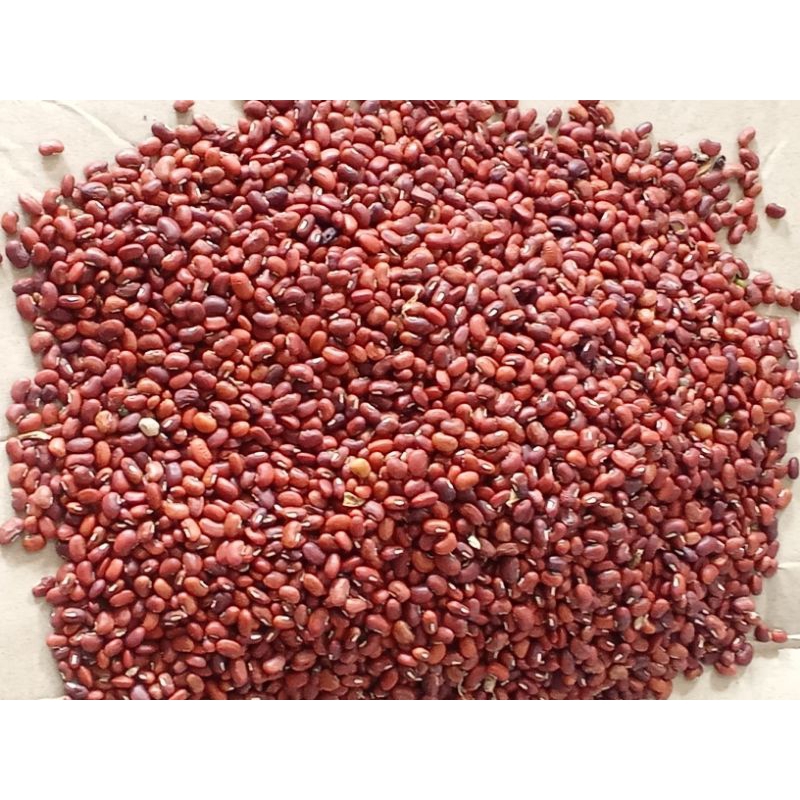 

kacang merah 1kg murah kacang joglo