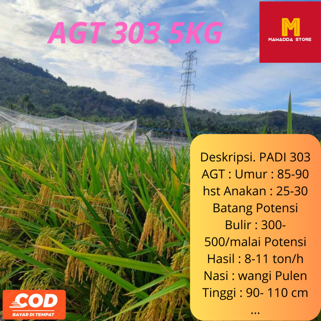 Biji Padi Unggul AGT 303 / 303 AGT 5KG