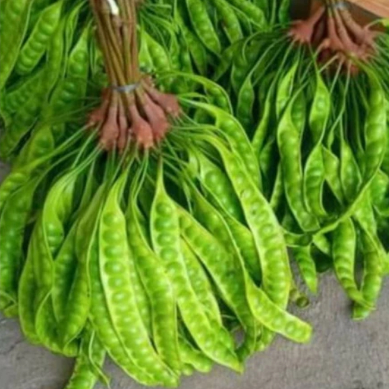 

Pete Jawa Pete Segar Tua Sayur Cikarang