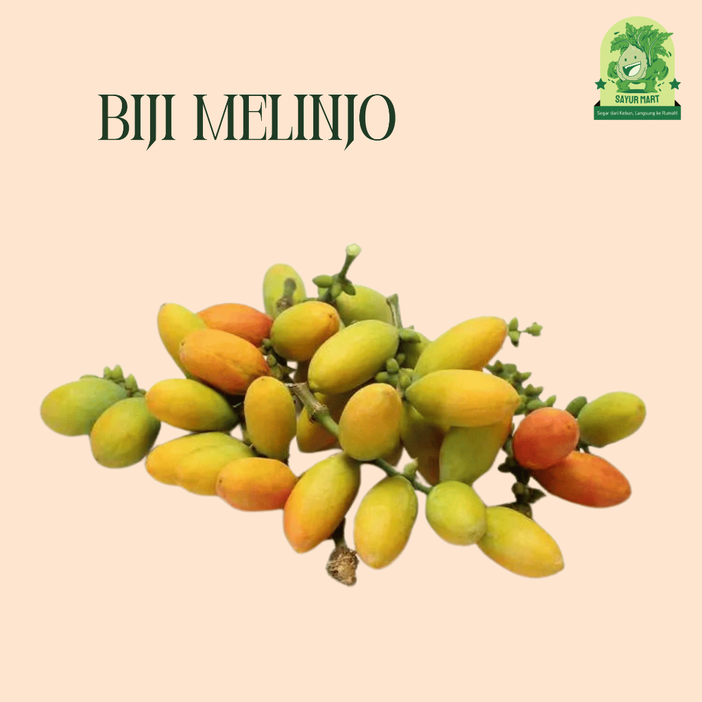 

Biji Melinjo 100 Gram