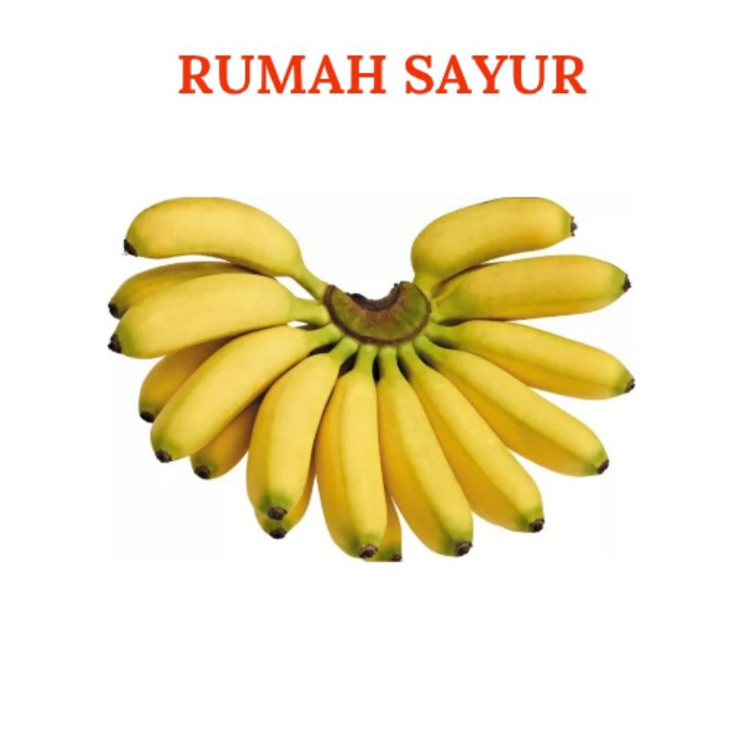 

Buah Pisang Putri 1 Sisir