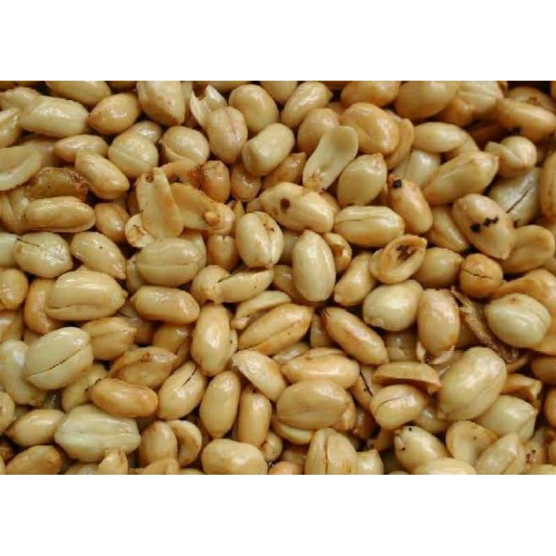 

KACANG BAWANG KEMASAN 250gr 500gr 1kg