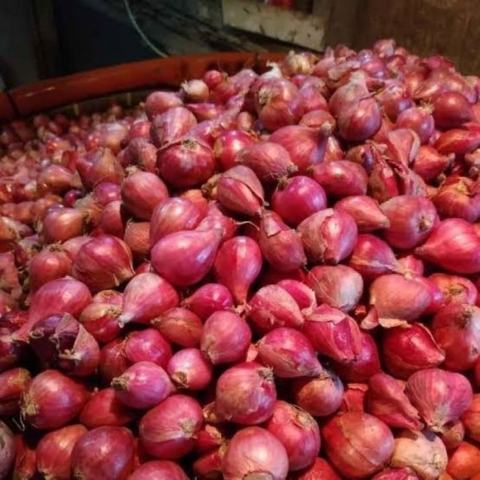 

PROMO Bawang Merah Lokal Pilihan Campur 1Kg Murah Fresh