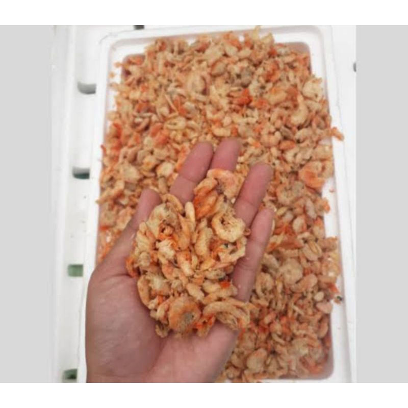 

Ebi Perbungkus Kecil