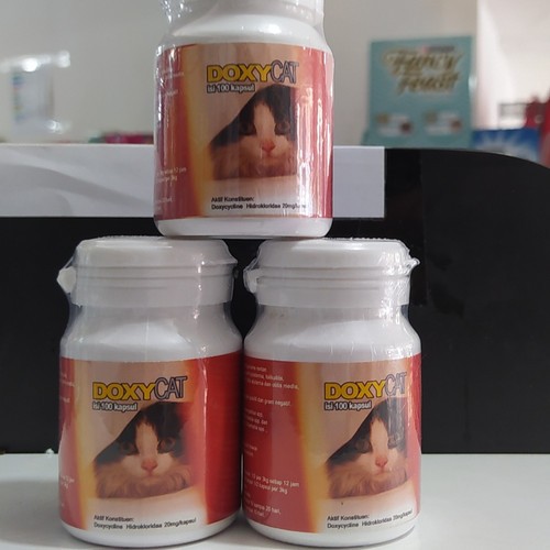 IM ORGANIC Doxy Cat 100 tablet vitamin flu kucing