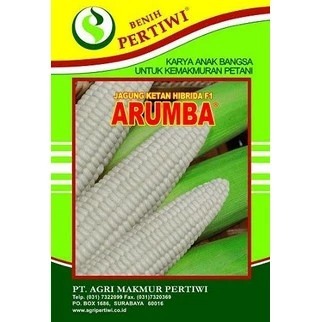 

PROMO !!! Benih Jagung Arumba Hibrida Pertiwi 250 gram Terlaris