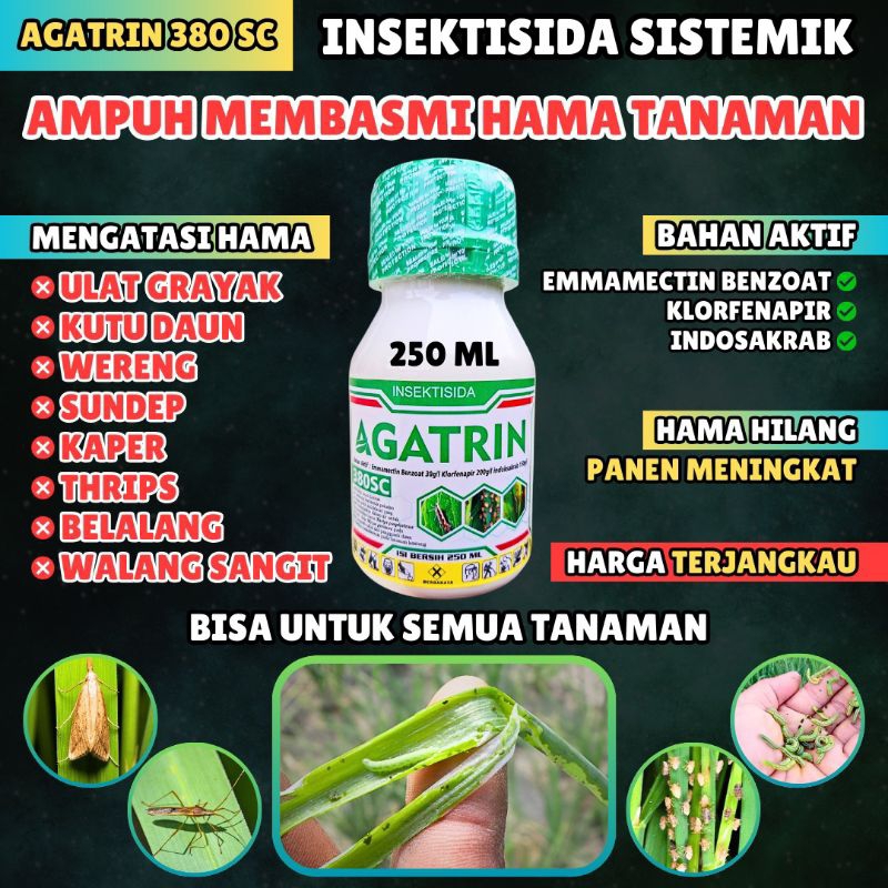 INSEKTISIDA AGATRIN BASMI HAMA ULAT DAUN, ULAT GRAYAK, SUNDEP, KUPU PUTIH, DLL