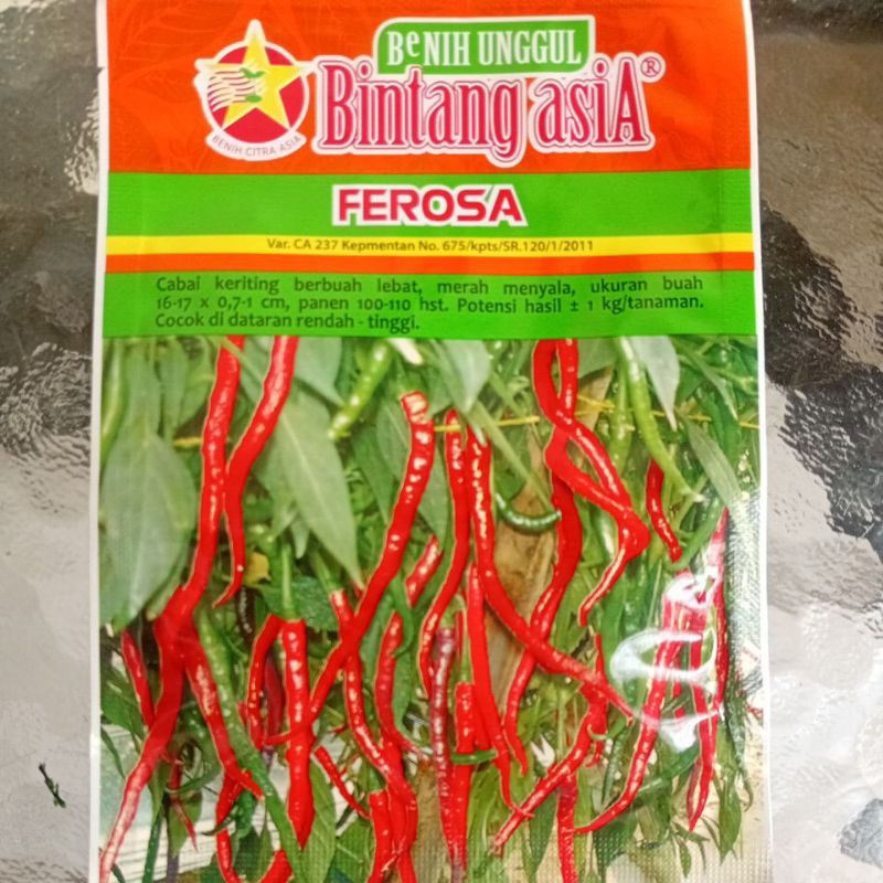 

biji cabe lombok keriting bintang asia 10 gr