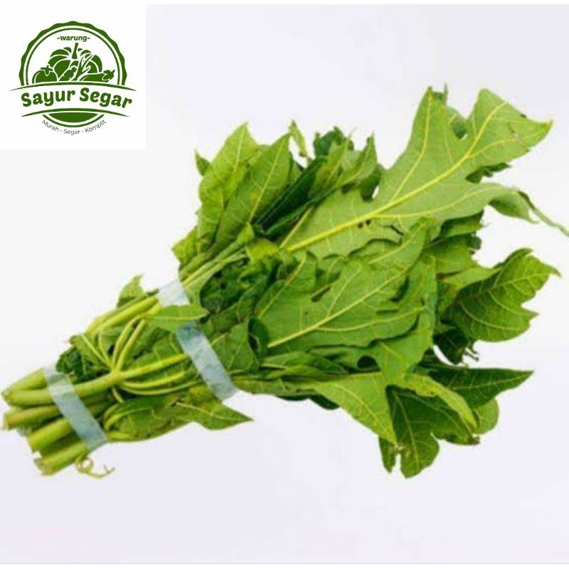 

Daun Pepaya Pahit / Daun Pepaya Jepang - Per Ikat