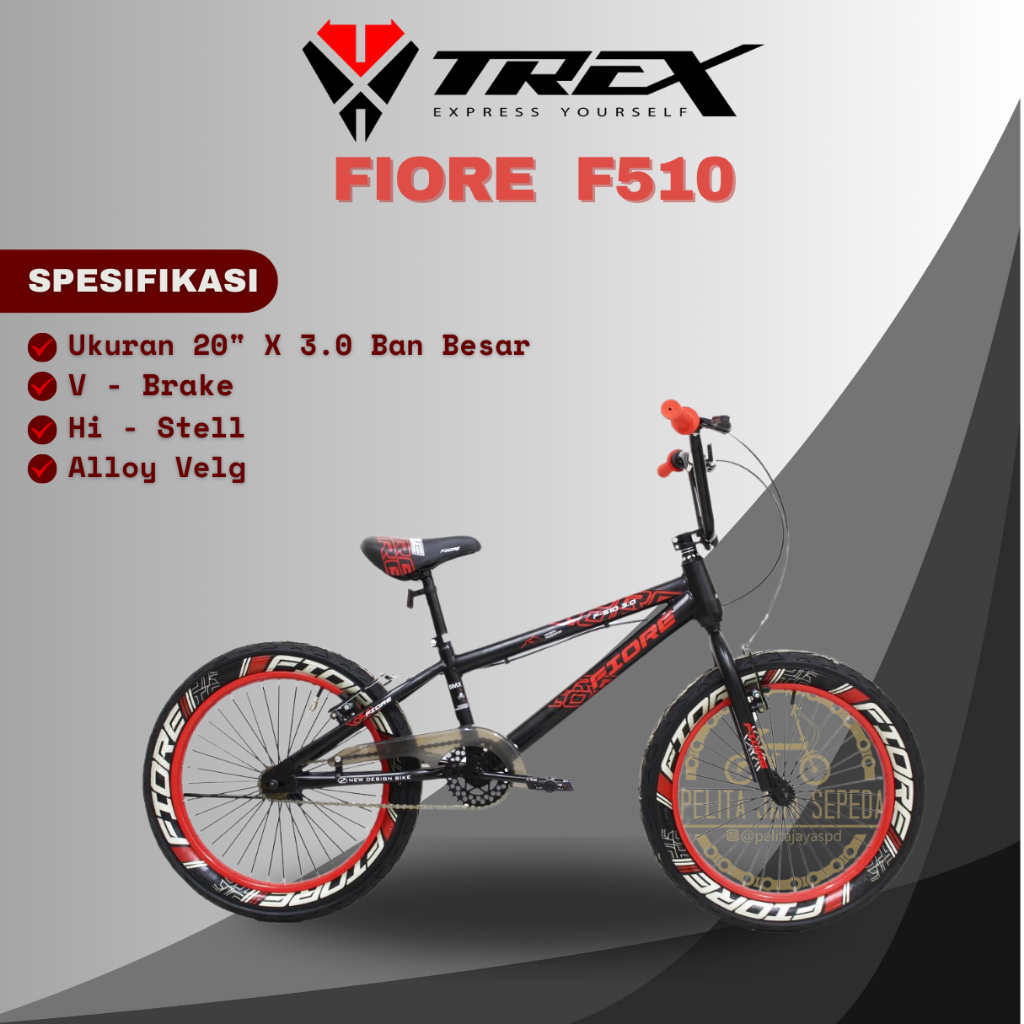 20 INCH SEPEDA ANAK COWOK BMX 20 INCH  VELION CENTRUM INTERBIKE MICHEL