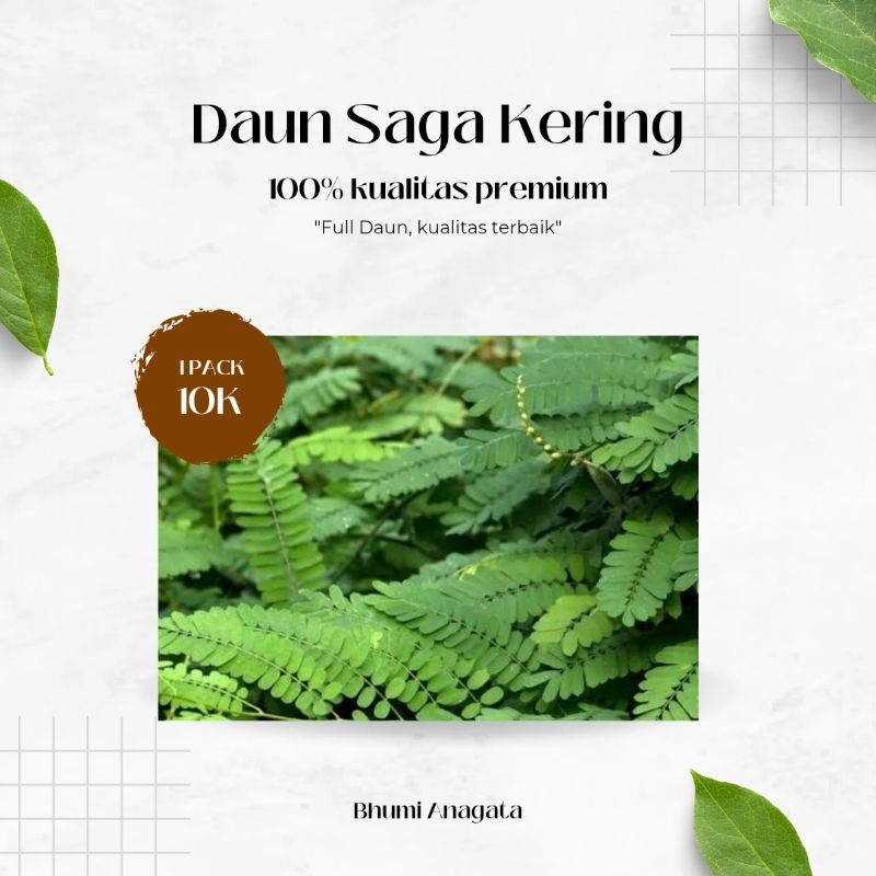

daun saga kering kualitas premium full daun
