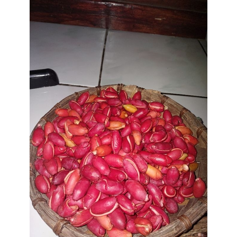 

Kulit Melinjo/tangkil mentah [enak dimasak]
