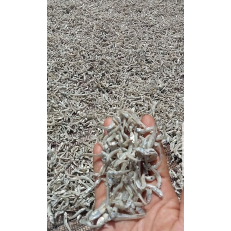

ikan asin teri jengki teri daging rebus 1 toples berat 400 gram