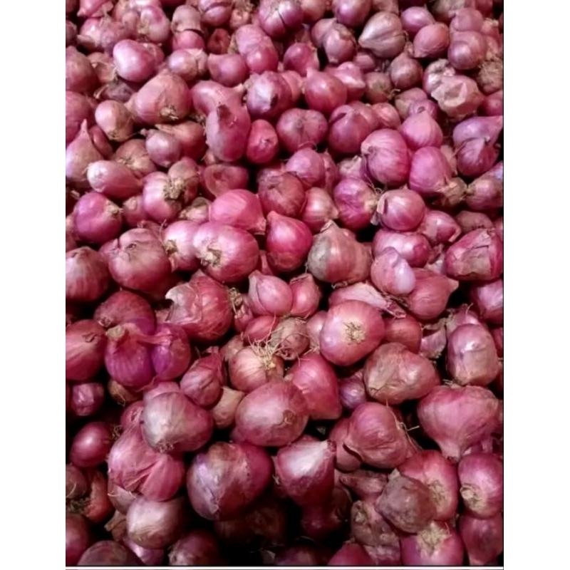 

Bawang merah fres 500gram