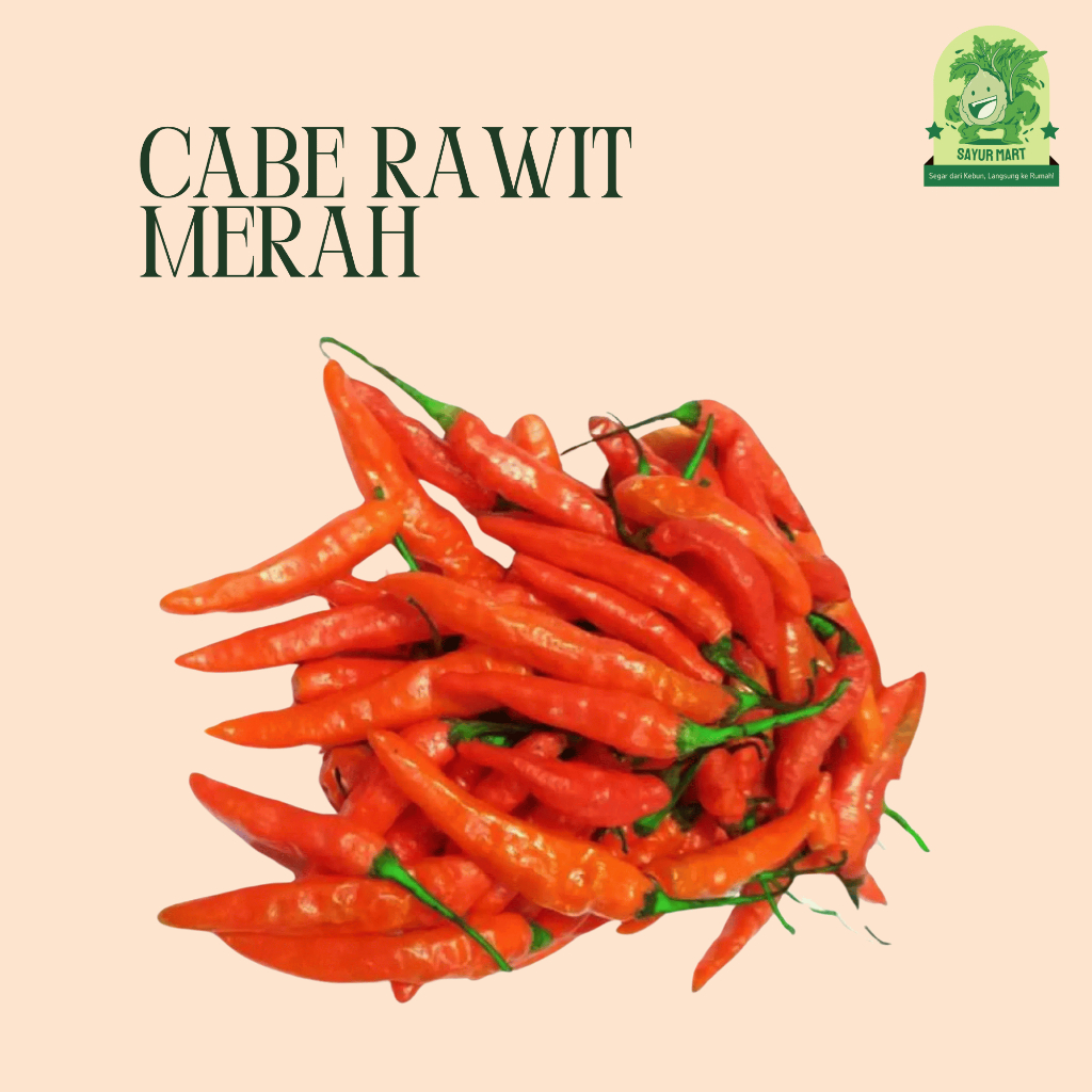 

Cabe Rawit Merah 100 Gram