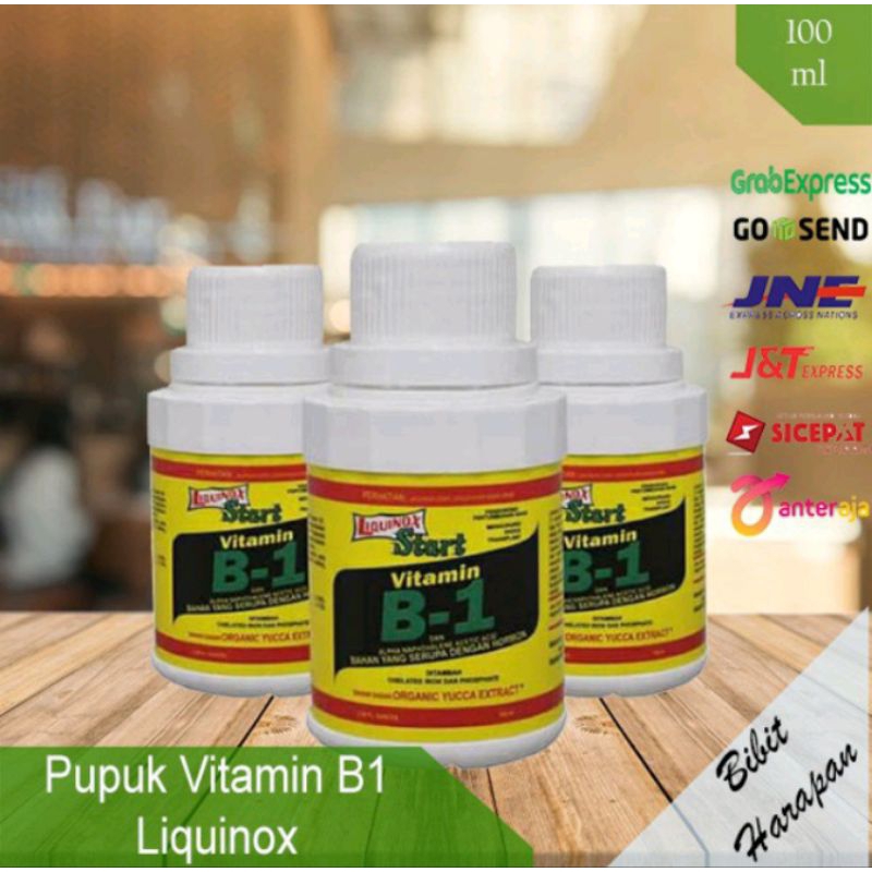 Pupuk Vitamin B 1 Anti Stres Tanaman - Pupuk B 1 Untuk Akar Dan Pertumbuhan Tanaman Original