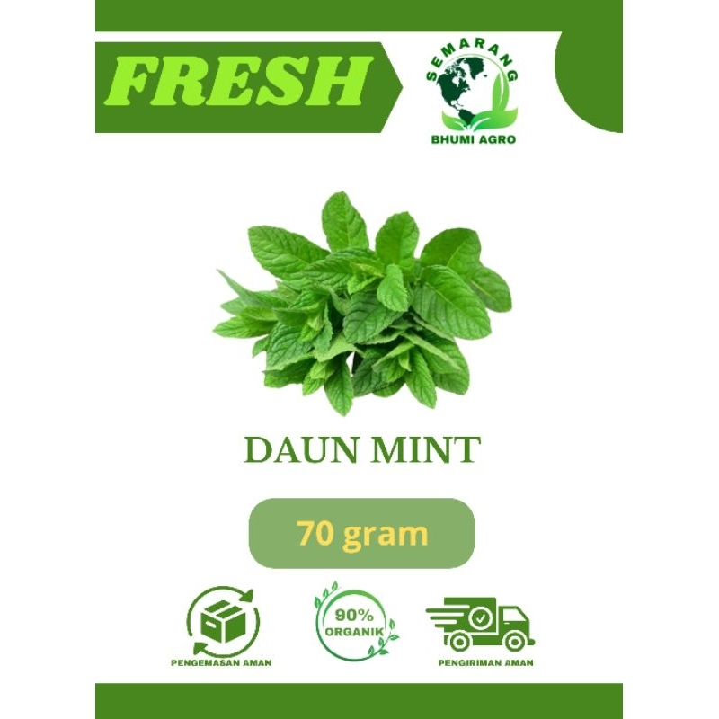 

Daun Mint Fresh & Organik – 70gr | BHUMI AGRO