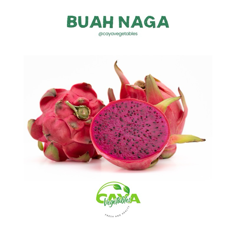 

KIRIM INSTAN Buah Naga Merah Fresh 1Kg